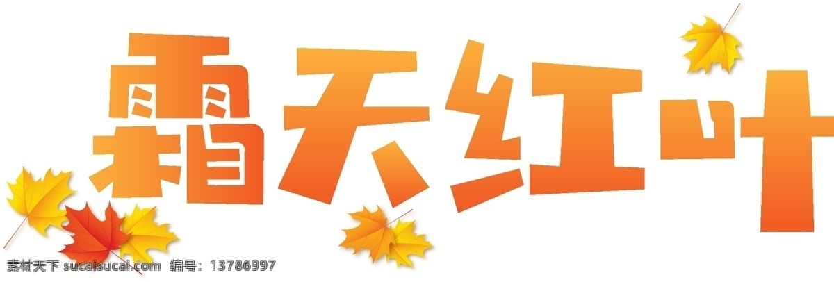 秋季 秋天 秋分 立秋 霜天 红叶 千 库 原创 矢量 艺术 字 丰收 枫叶 卡通 霜天红叶 秋收 收获 落叶 矢量艺术字