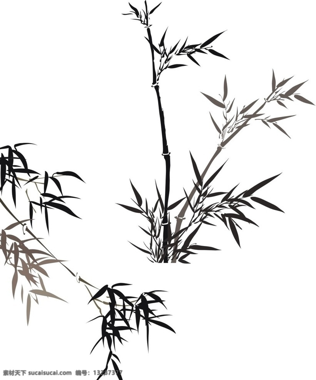 竹子 水墨黑白竹子 美术绘画 文化艺术 矢量