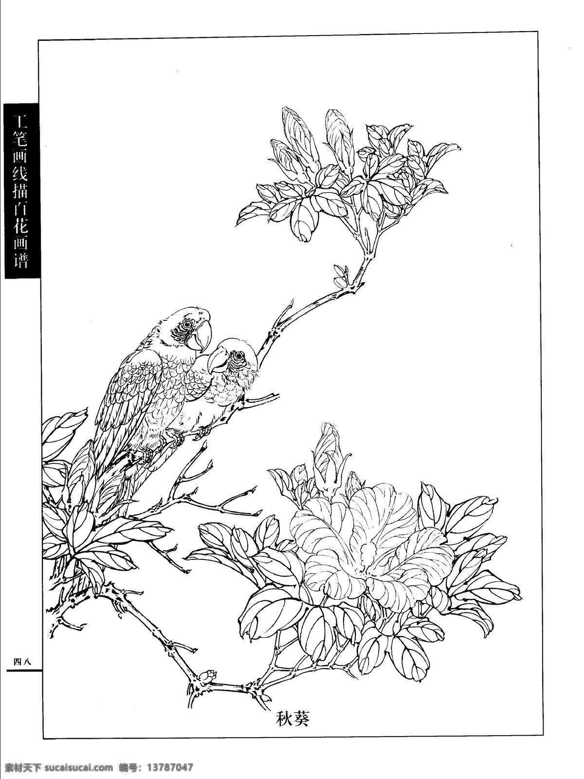 工笔画 线描 百花 画谱 白描 国画 唯美 秋葵 工笔 花鸟 图谱 绘画书法 文化艺术