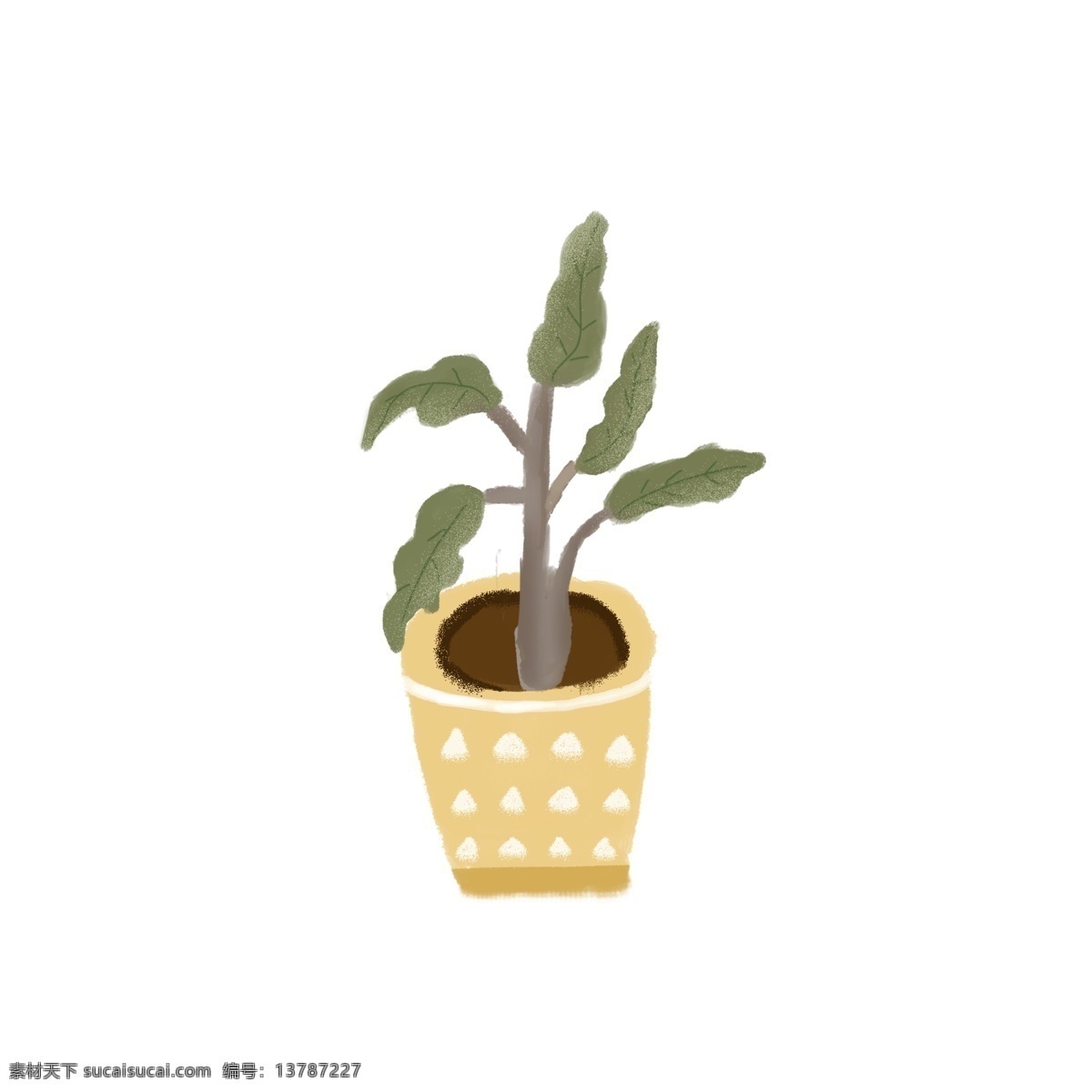 家庭 盆栽 植物 绿色 黄色 花盆 元素 客厅 自然