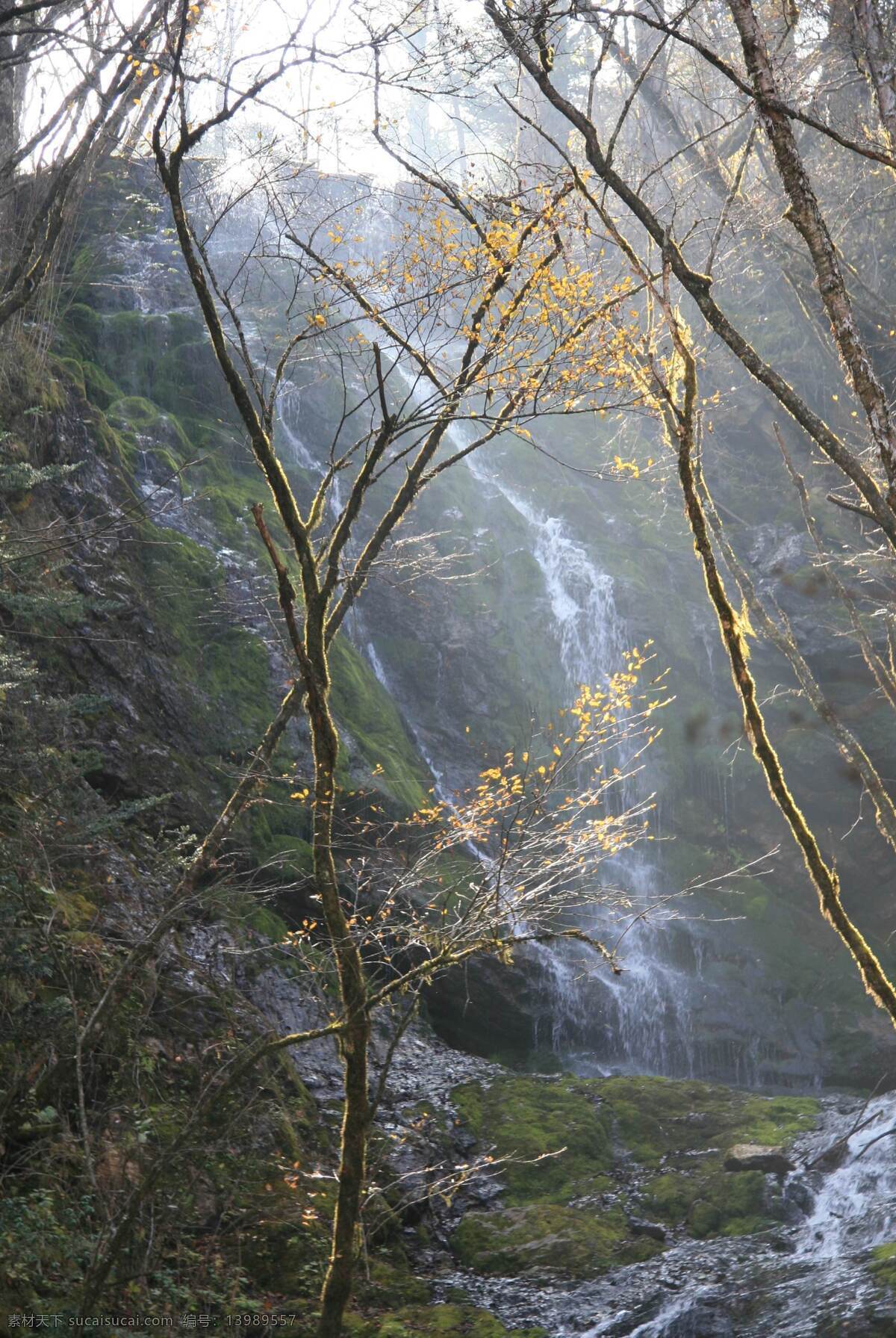 武当之泉 泉水 瀑布风景 树木植物 灰色