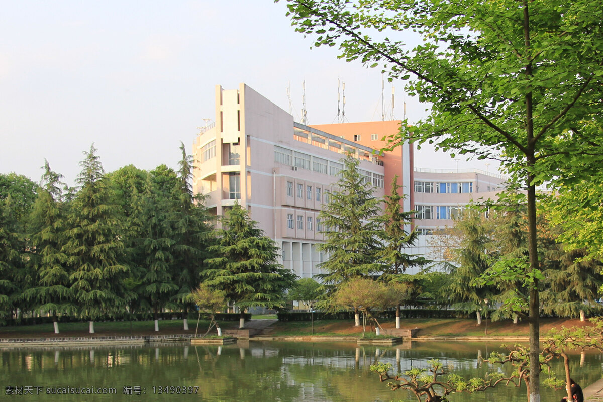成都大学 建筑 风景 校园 环境 建筑园林 建筑摄影 白色