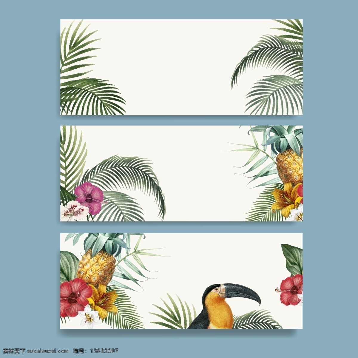 热带 植物 鸟类 热带植物 热带鹦鹉 海报素材 夏季海报 夏季 底纹边框 背景底纹