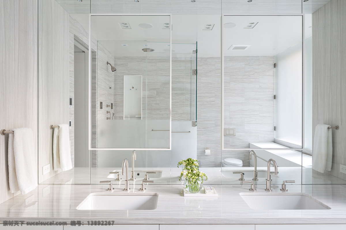 简约 时尚 浴室 装修 效果图 白色 玻璃 简约风格 毛巾 时尚浴室 室内设计 水龙头 植物