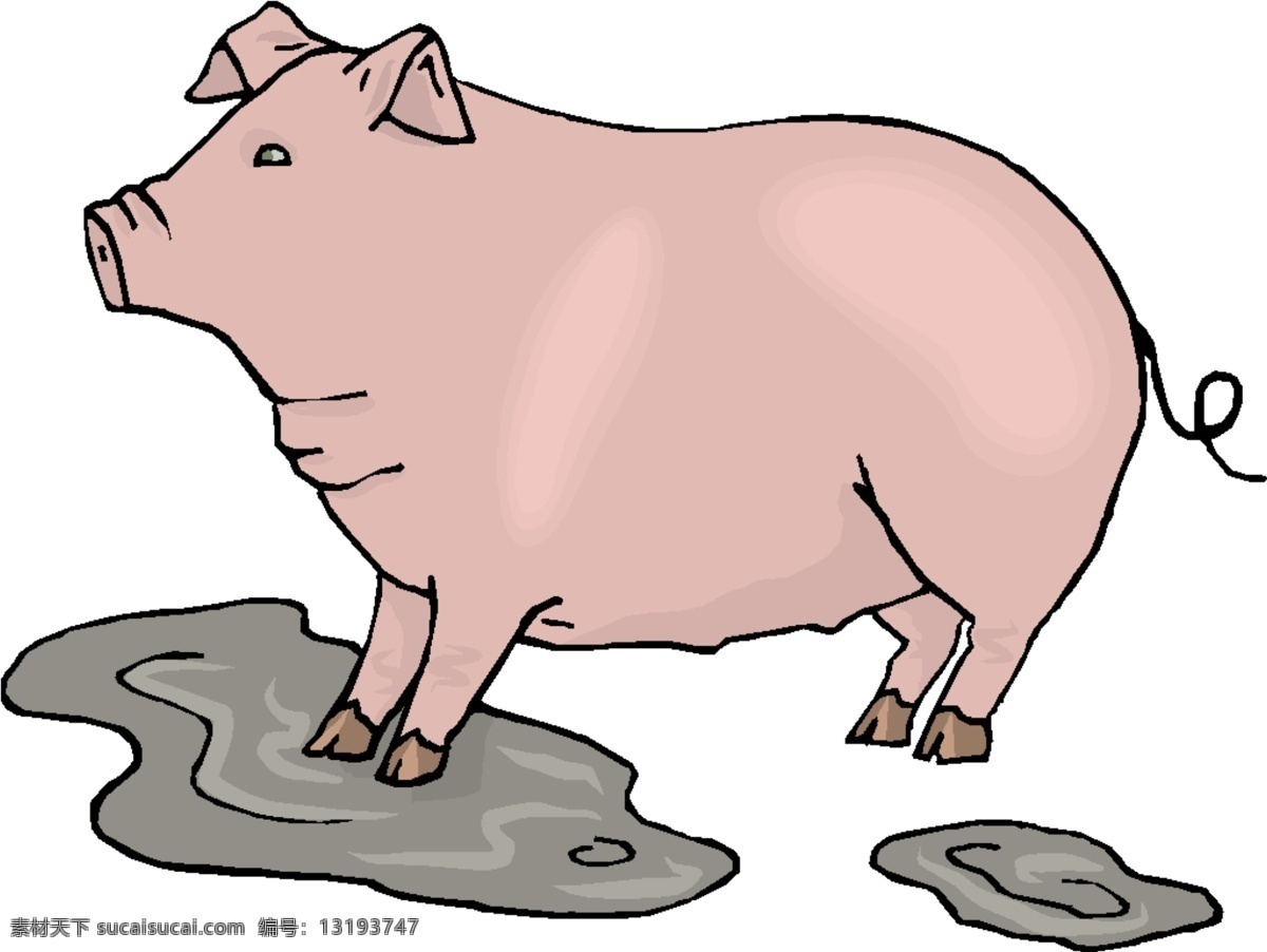 卡通 生肖 猪 31 家禽 家畜 矢量图 生物 世界 矢量 其他矢量图
