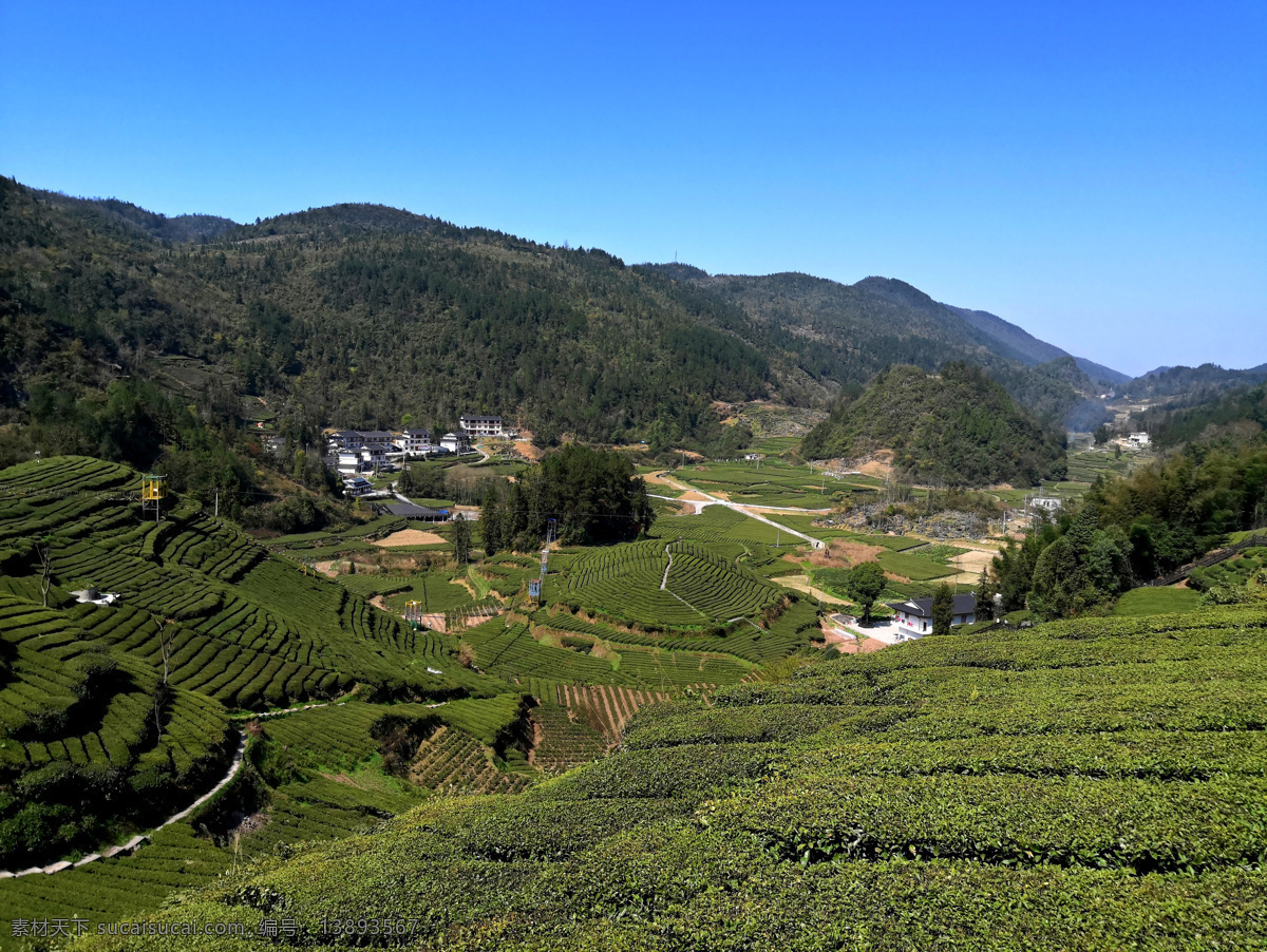 茶山风景 茶山 公园 风景区 茶园 自然景观 山水风景