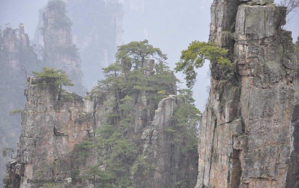 张家界 石林 旅游 树木 风景 国内旅游 旅游摄影