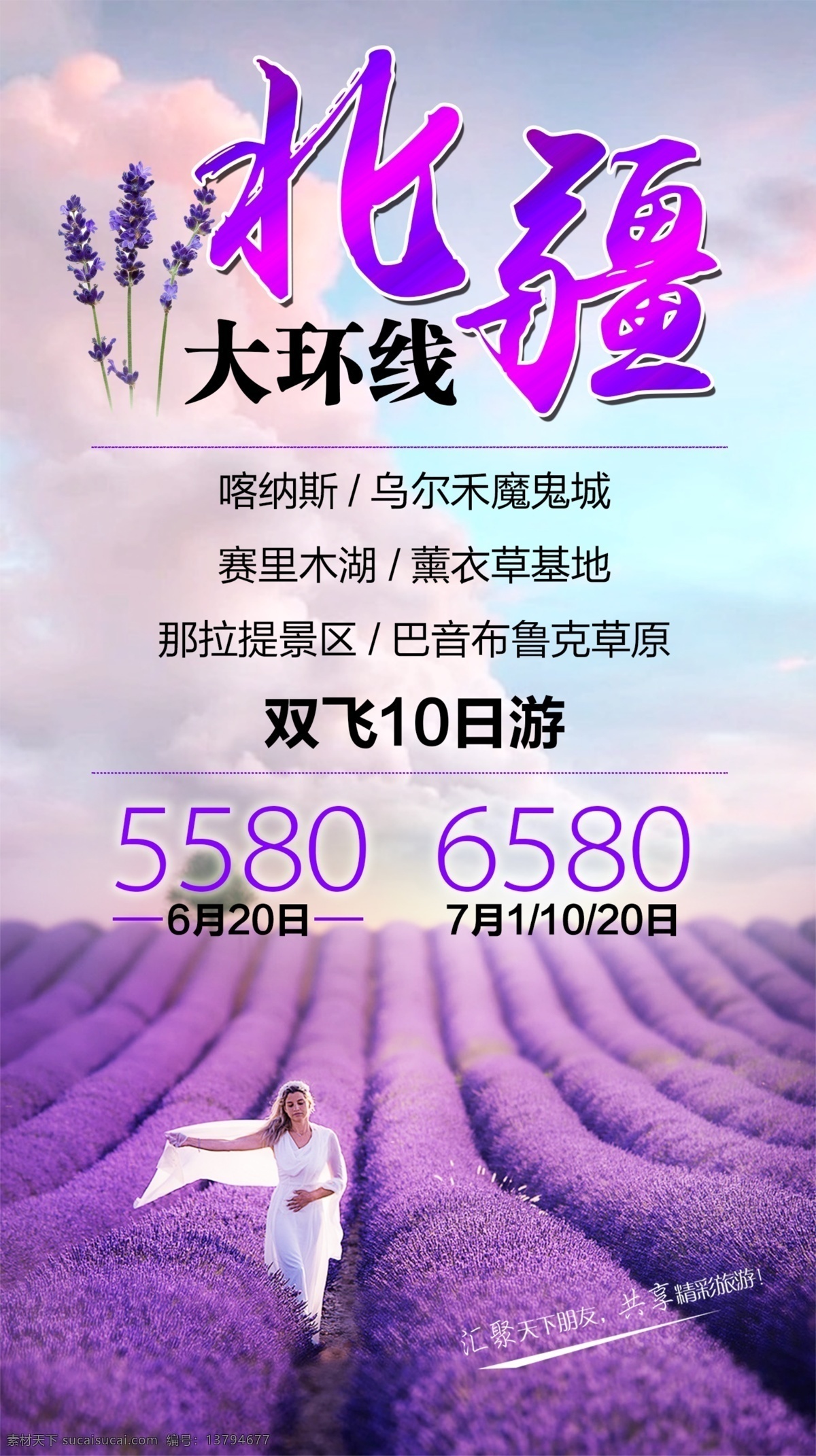 薰衣草 紫色 新疆 北疆 旅游广告 唯美