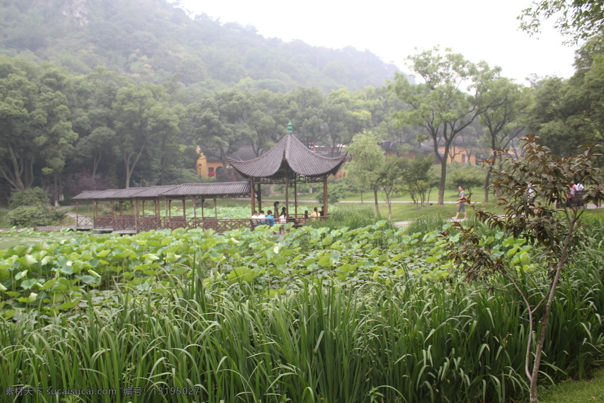 荷叶 凉亭 绿叶 水草 天空 自然风景 自然景观 亭 林 公园 自然 风景画 家居装饰素材 山水风景画