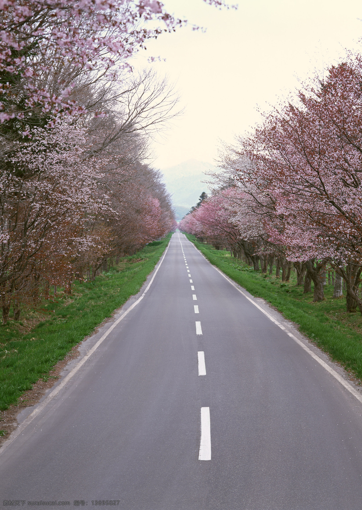 柏油路 路 道路 公路 树木 小路 建筑景观 自然景观 灰色