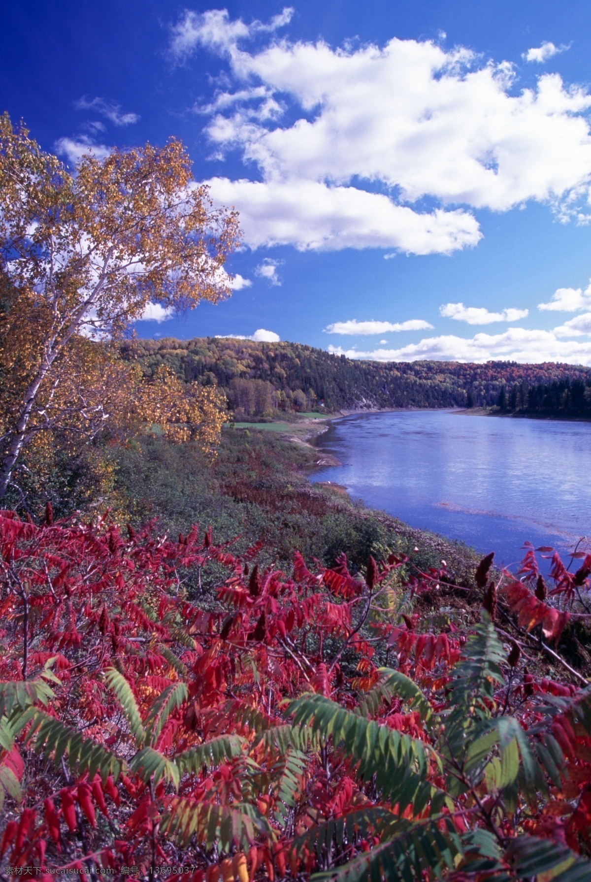 湖畔 加拿大风景 湖景 象征 旅游 景色 蓝天 加拿大风光 自然风景 自然景观 蓝色