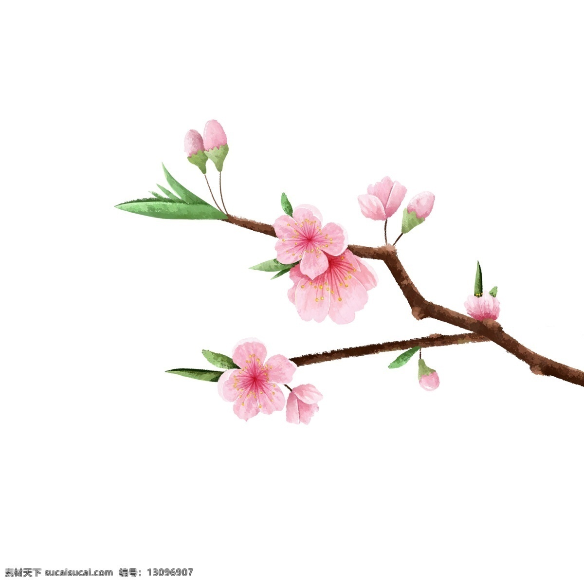 春天 唯美 清新 桃花 树叶 花瓣 花朵 树枝 花苞