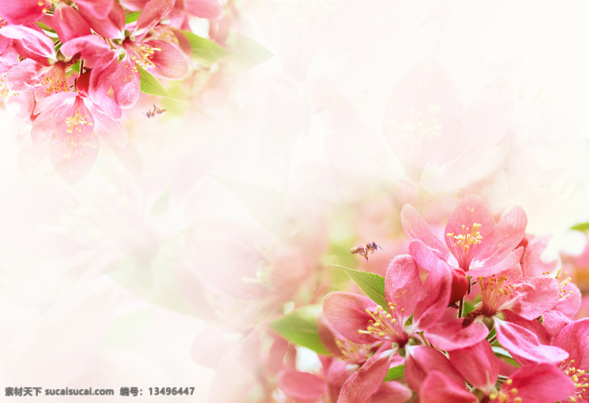 梦幻花朵 移门 梦幻底纹 梦幻花芬 粉色花 移门图案 底纹边框