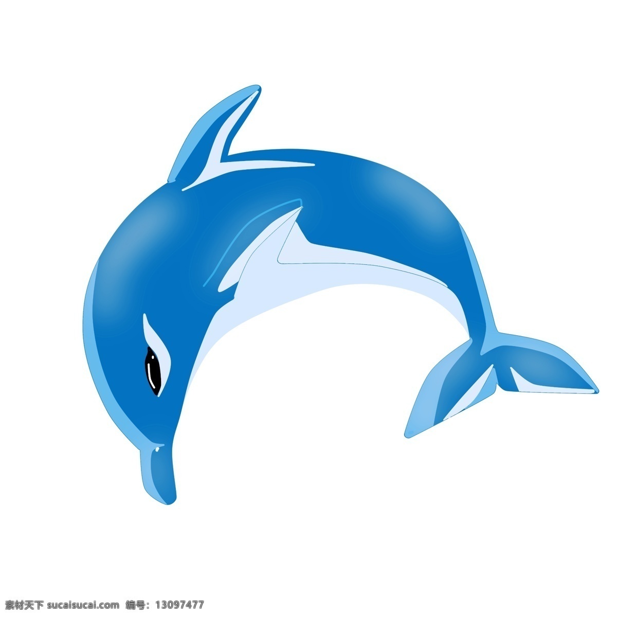弯曲蓝色海豚 生物 灵动