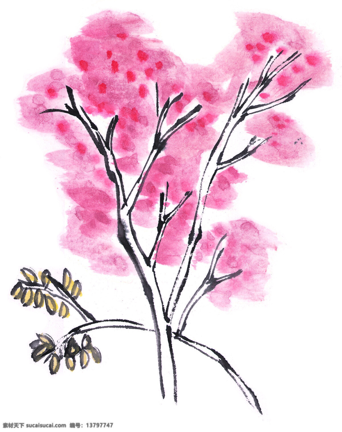 工笔 晕染 树木 植物 美学 绘画 景色 白色