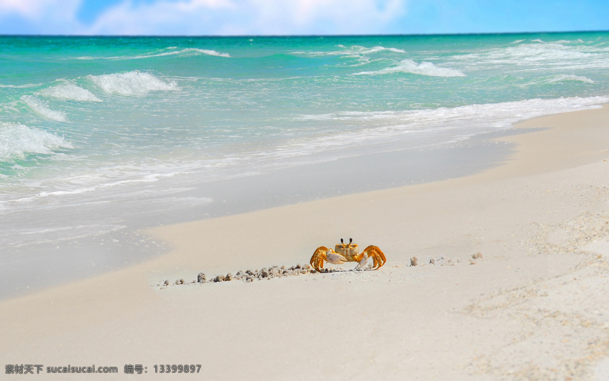 沙滩 浪漫沙滩 海岸 海滩 漫步沙滩 黄金海岸 自然风景 自然景观 国外旅游 旅游摄影
