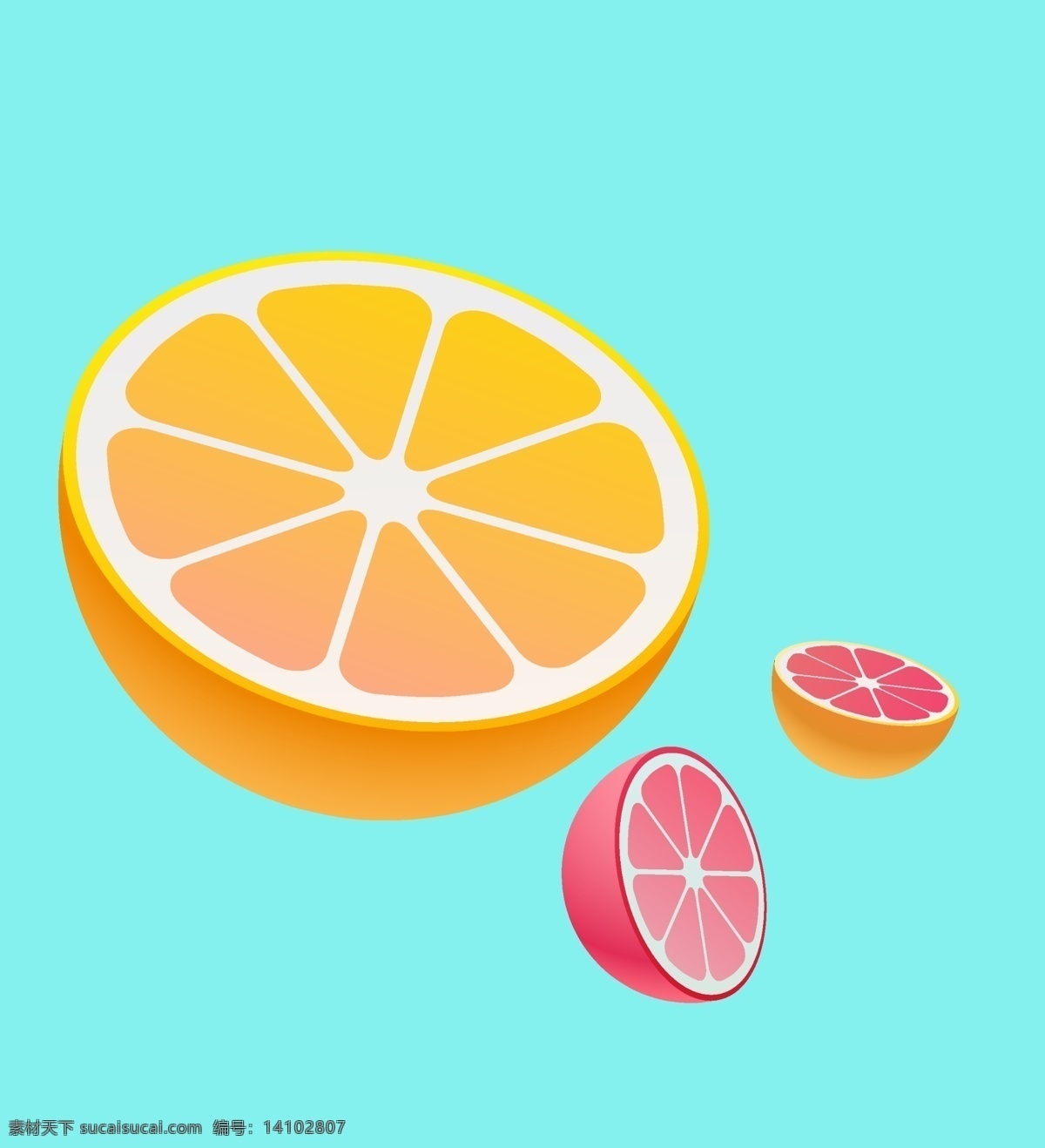 橙子图片 橙子 水果 橘子 热带水果 手绘