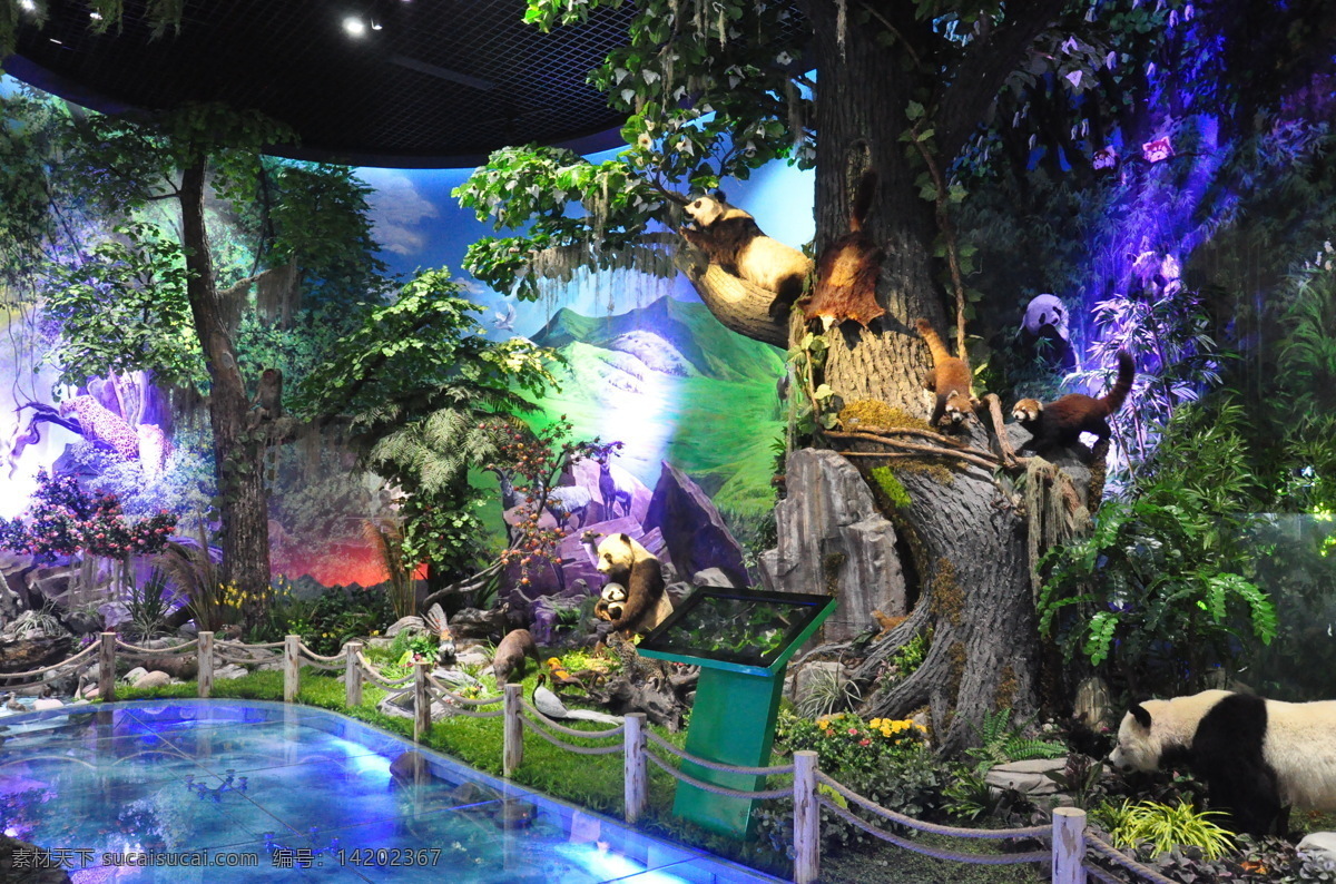 雅安 生态 博物馆 熊猫 动物 植物 雕塑 塑石 树 绿化 栏杆 水 背景画 展览设计 环境设计