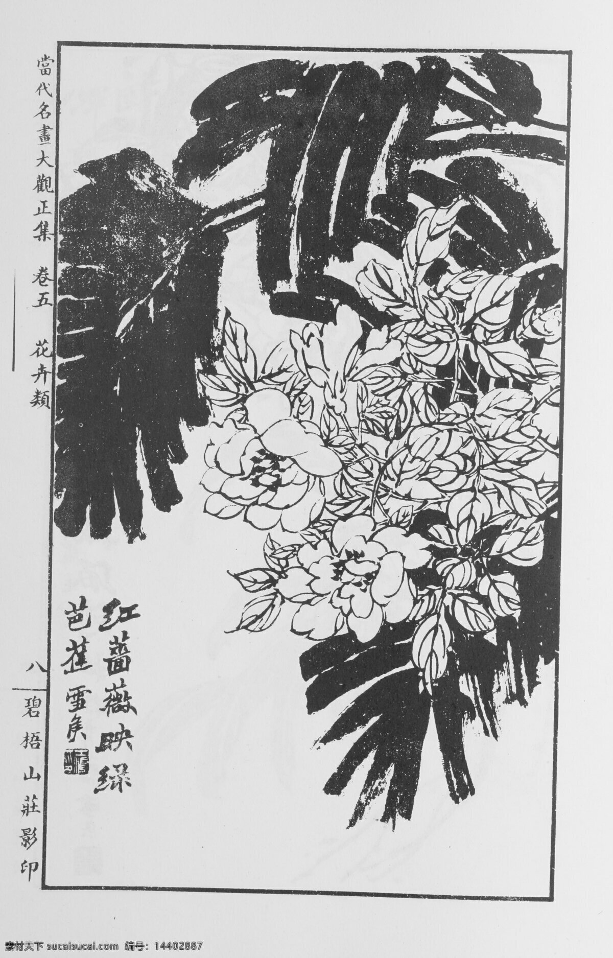 花卉画 中国画 当代 名画 大观 正 集 设计素材 花鸟画篇 中国画篇 书画美术 白色