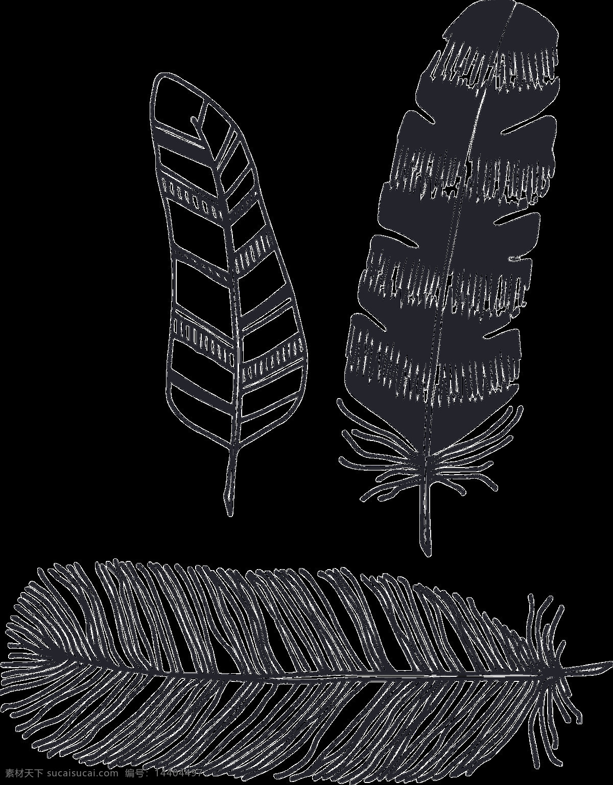 黑 纹 羽翼 卡通 透明 羽毛 动物 透明素材 免扣素材 装饰图案