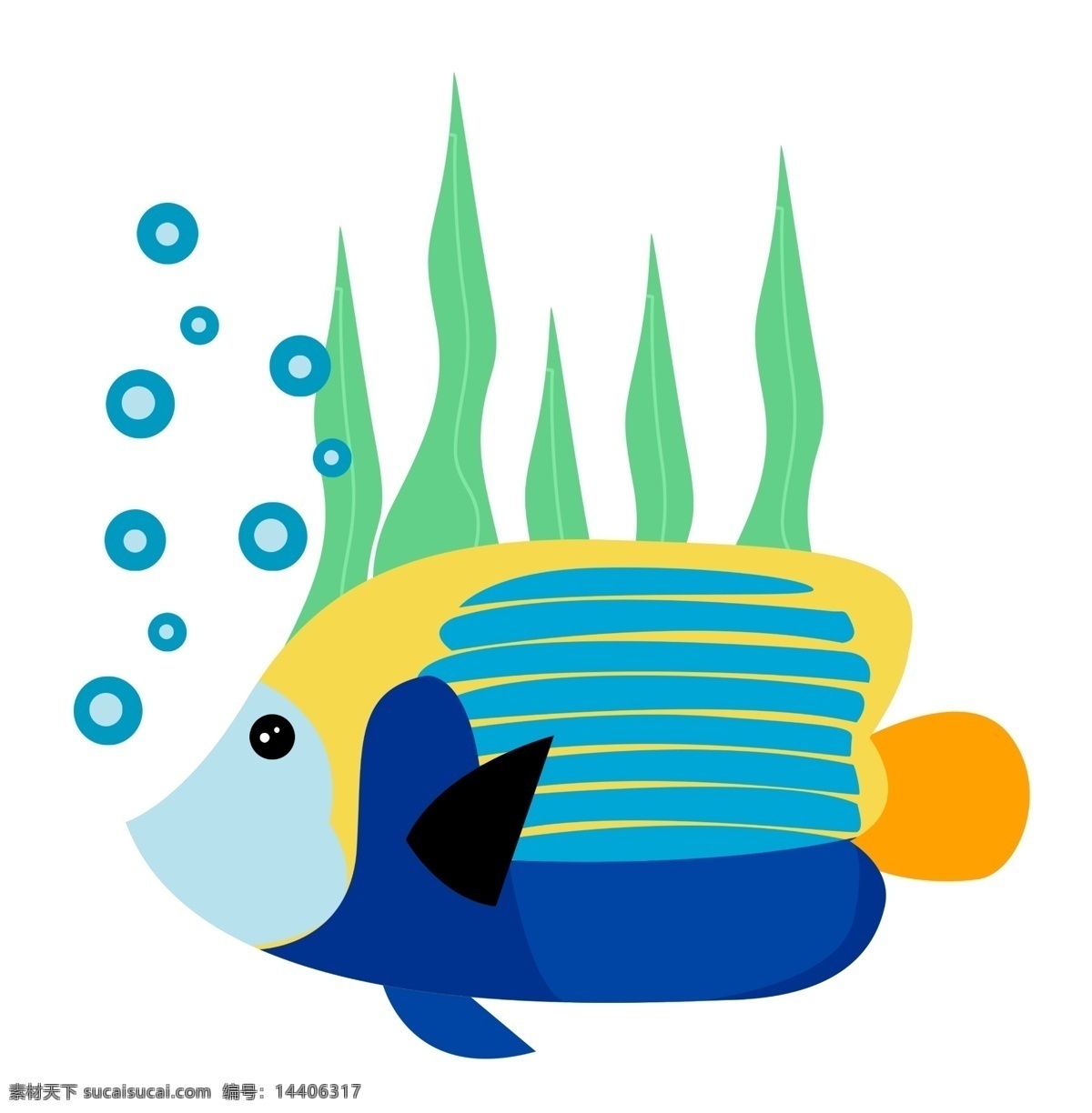 鱼类海草植物 气泡 鱼类 海草