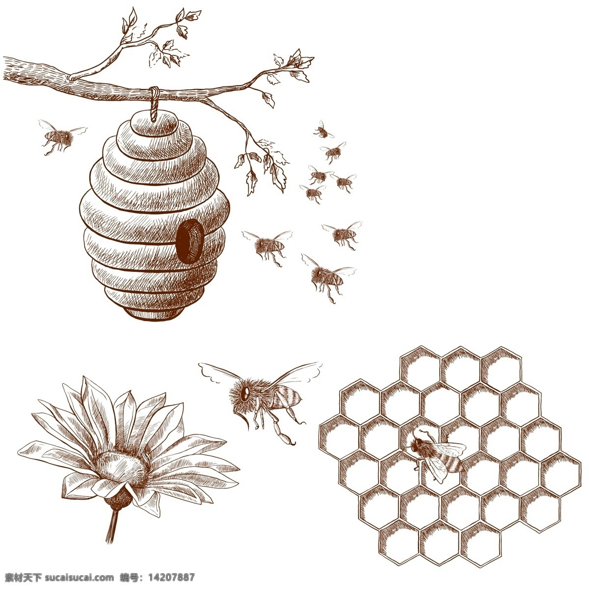 手绘 蜜蜂 蜂窝 蜂蜜 插图 蜂蜜海报 蜂蜜展板 蜂蜜广告 野生 蜂胶 天然蜂蜜 自然蜂蜜 蜂蜜宣单 蜂蜜画册 蜂蜜模板 蜂蜜制作 蜂蜜工艺 蜂蜜包装 蜂蜜展架 野生蜂蜜 蜂蜜插画 蜂蜜卡通 蜂蜜文化 蜂蜜图片 蜂蜜养殖 蜂蜜设计 蜂蜜产品 蜂蜜礼品盒 蜂蜜外盒包装 蜂蜜制作工艺 蜂蜜素材 蜜蜂养殖 蜂王浆 临时