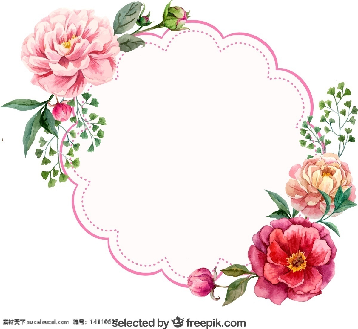 水彩 牡丹花 装饰 标签 矢量 花卉 卡片 国花 矢量图 白色