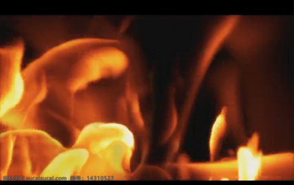火焰 燃烧 光效 视频 光晕 粒子 多彩 星光 背景 火光 视频素材 多媒体设计 源文件 mov