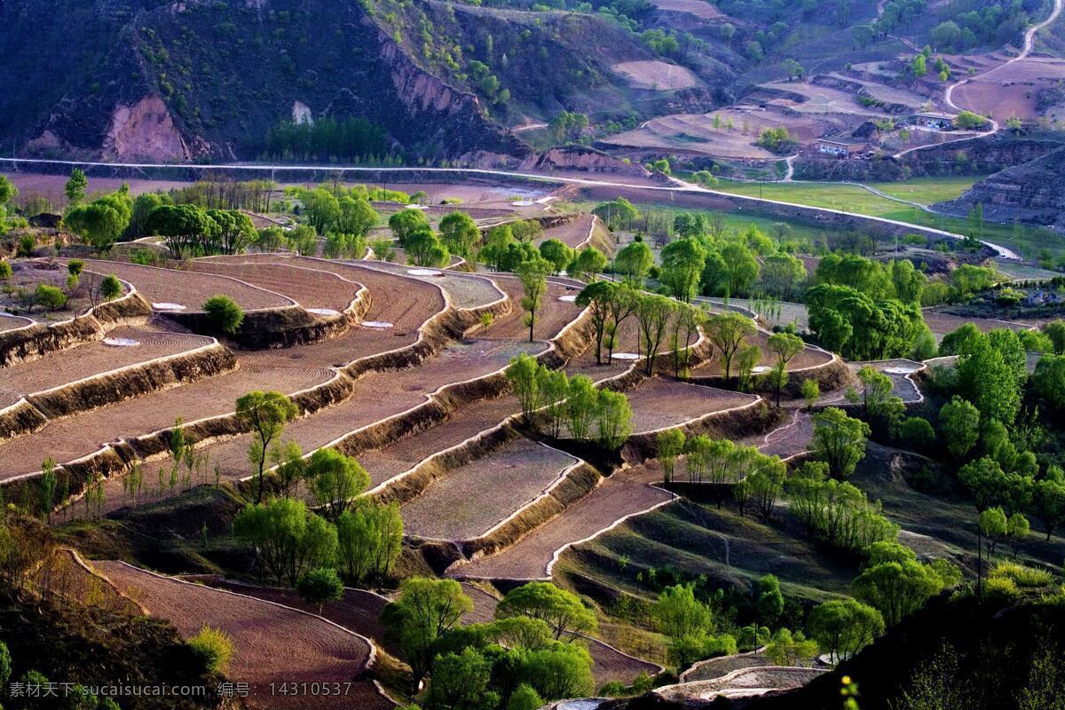 陕北梯田 陕北风情 地貌 自认风情 黄土高原 高清图片 梯田 田园风光 梯田俯瞰 自然景观