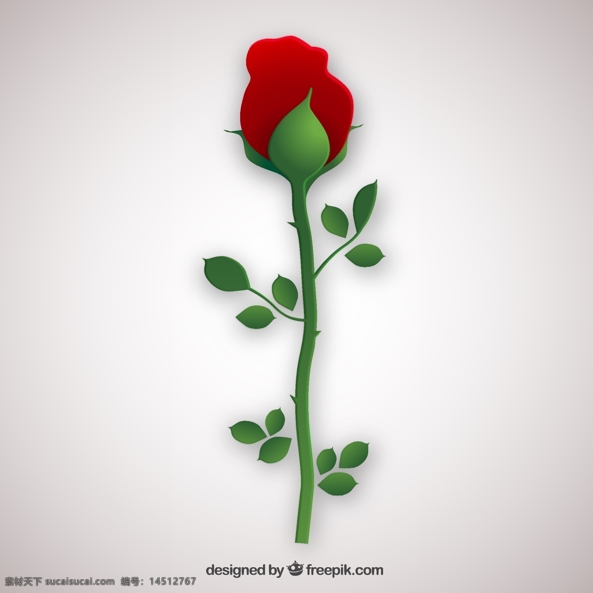 情人节玫瑰花 花卉 自然 春天 玫瑰 情人节 红色 地势平坦 植物 平面设计 鲜花 绽放