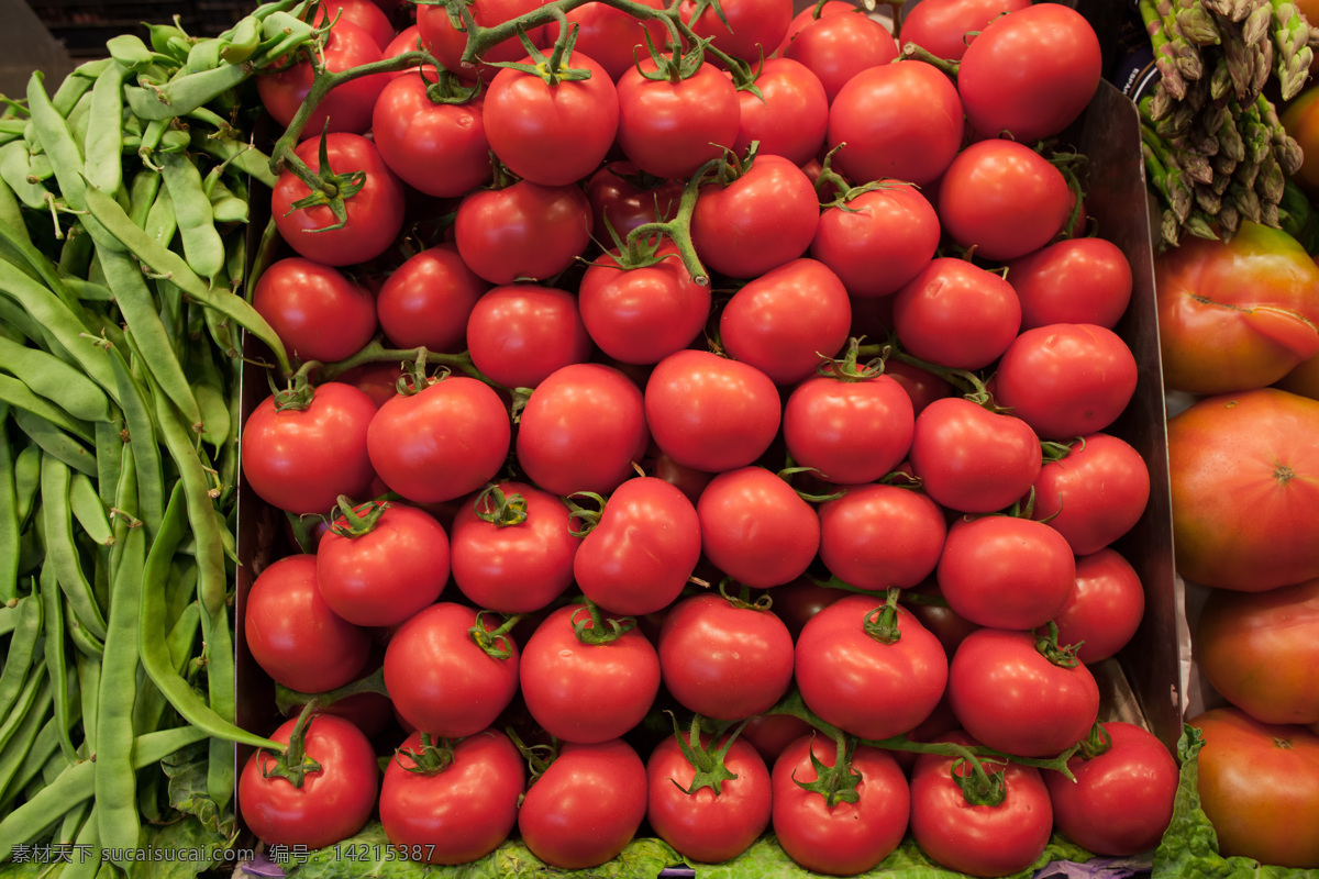 蔬菜 摄影图片 蔬菜摄影图片 豆角 西红柿 水果蔬菜 餐饮美食 红色