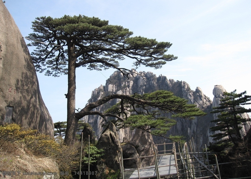 黄山风景 黄山 迎客松 松树 旅游 驴友 安徽旅游 jpg格式 国内旅游 旅游摄影