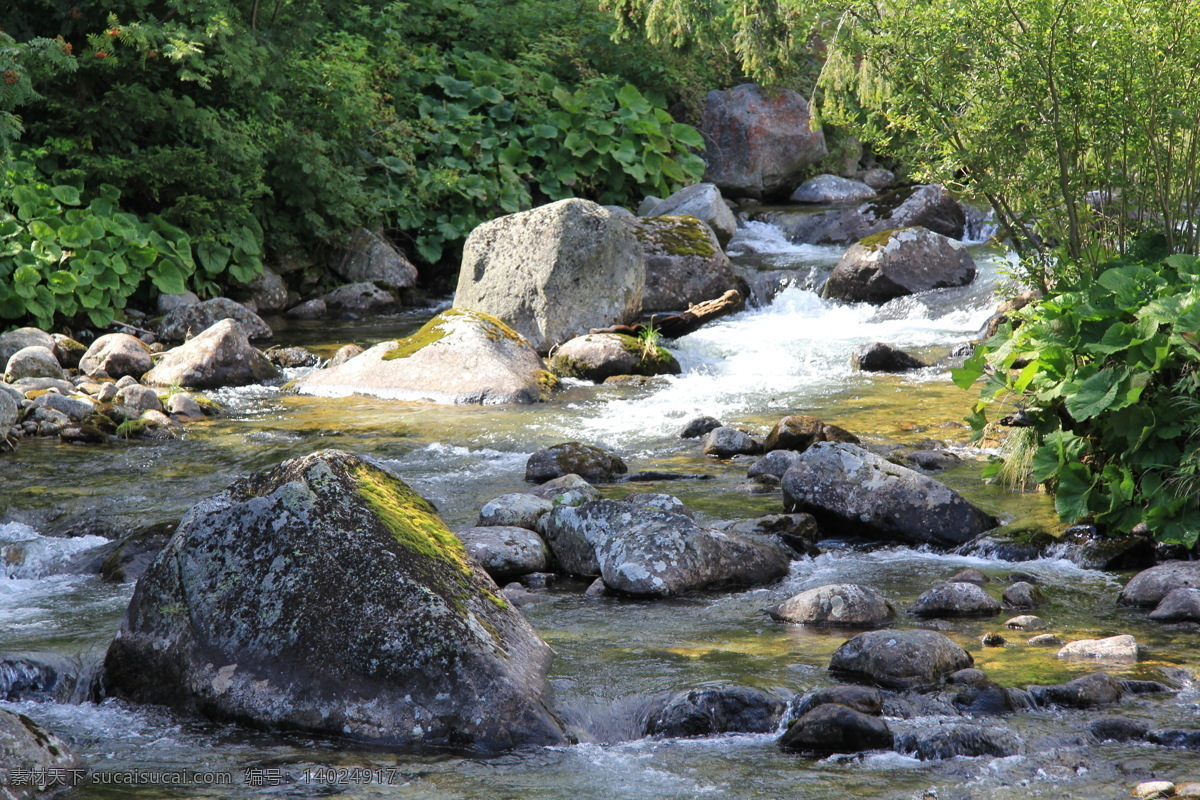 自然风景 山水 泉水 小溪 石头 山间小溪水 自然景观 山水风景