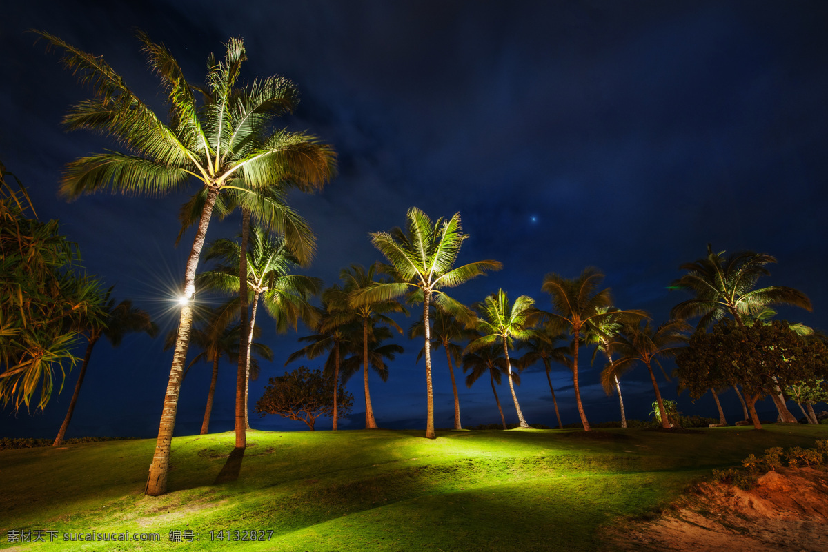 旅游摄影 美国 夏威夷 自然风景 棕榈树 夏威夷棕榈树 胜地瓦胡岛 夏威夷岛 美洲旅游 威基基海滩 俯瞰 威 基 海滩 瓦胡岛海滩 高 动态 风光摄影 psd源文件