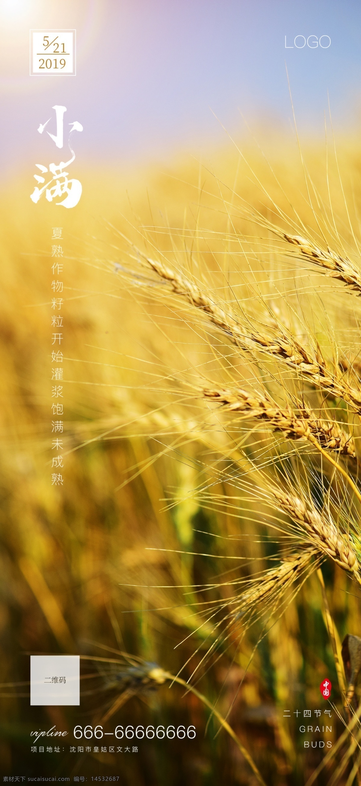 小满 节日 二十四节气 节气 小麦 麦穗 春天 夏季 阳光 节日节气