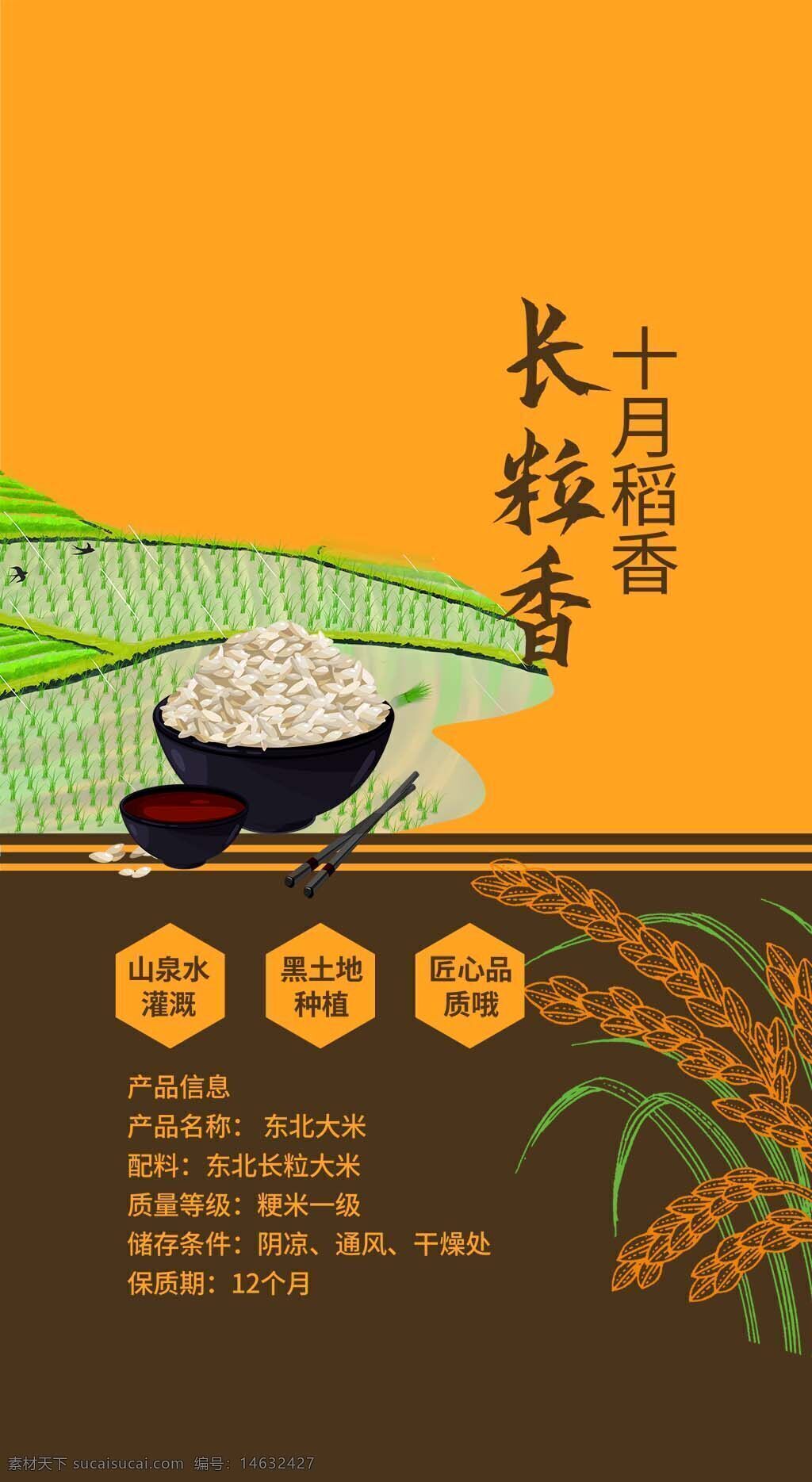 长粒大米 东北特产 水稻田 插秧 农民 包装设计 大米包装 平面广告 样机设计 田园风光 粮食生产 农业主题 稻米种植 大米psd素材 传统农业