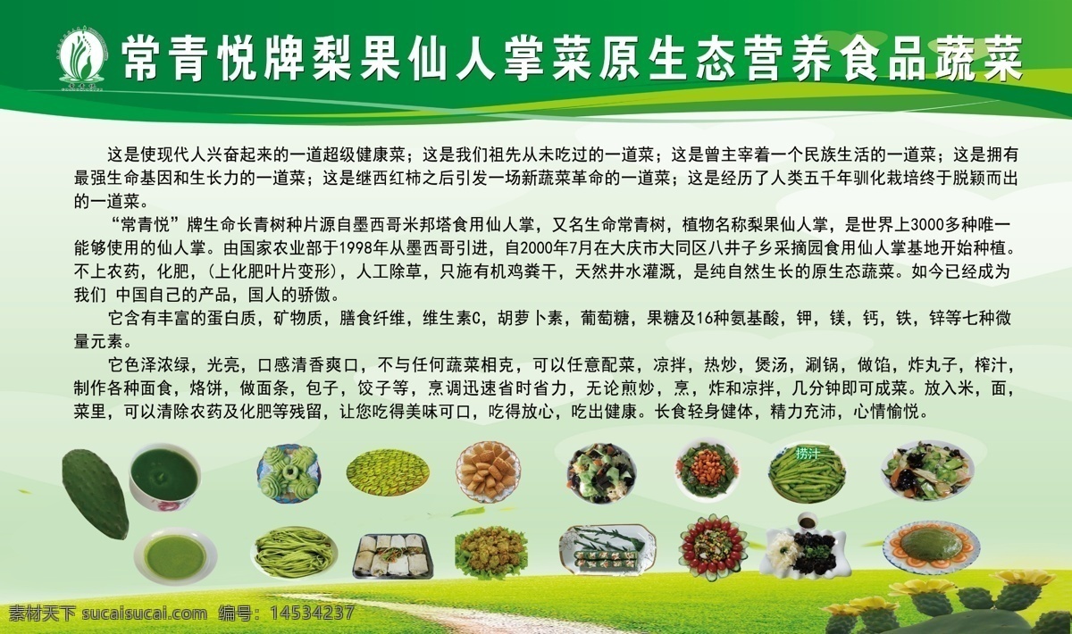 蔬菜 健康 营养 食品 背景 绿色背景 美食 原生态 展板 绿色展板 植物