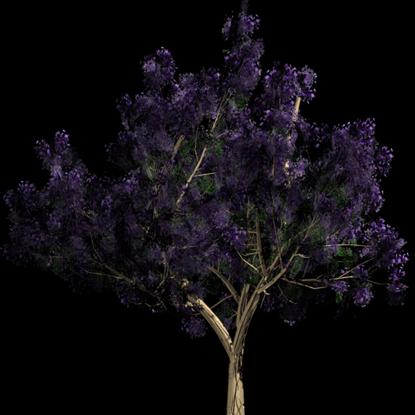 紫色树叶元素 深紫 树叶 大树 高大