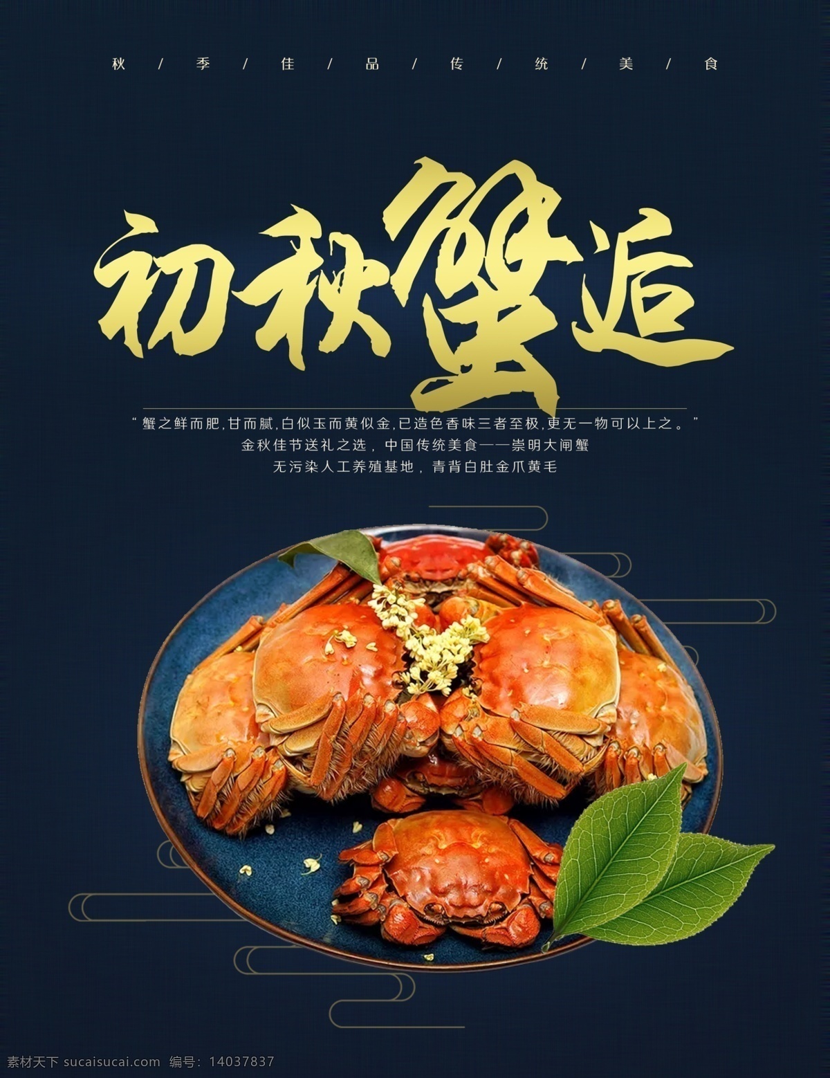 中秋 秋季 大闸蟹 食品 海报 秋天 美食 传统 螃蟹