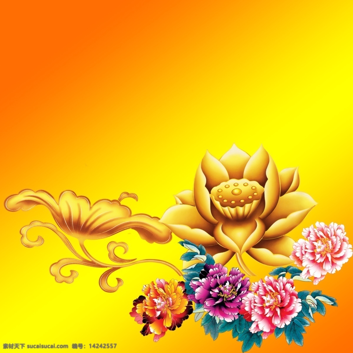 牡丹荷花素材 牡丹 荷花 金色荷花 花开富贵