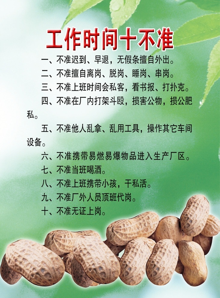 工作制度展板 工作 时间 十 不准 制度 红色 浮雕 白边 字 花生 叶子 绿色梦幻底色 露水珠 朦胧 内容 展板模板 广告设计模板 源文件