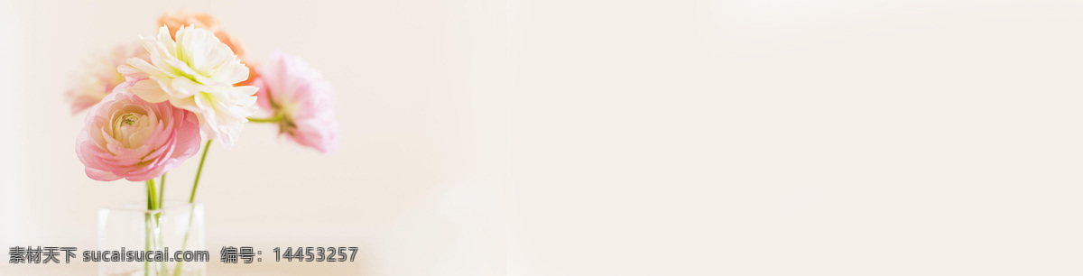 室内 玫瑰花 banner 创意设计 淘宝素材 淘宝主图素材 淘宝描述模板 淘宝装修素材 宝贝 详情 页 模板 淘宝海报 海报模板 淘宝 免费 装修 店铺 白色