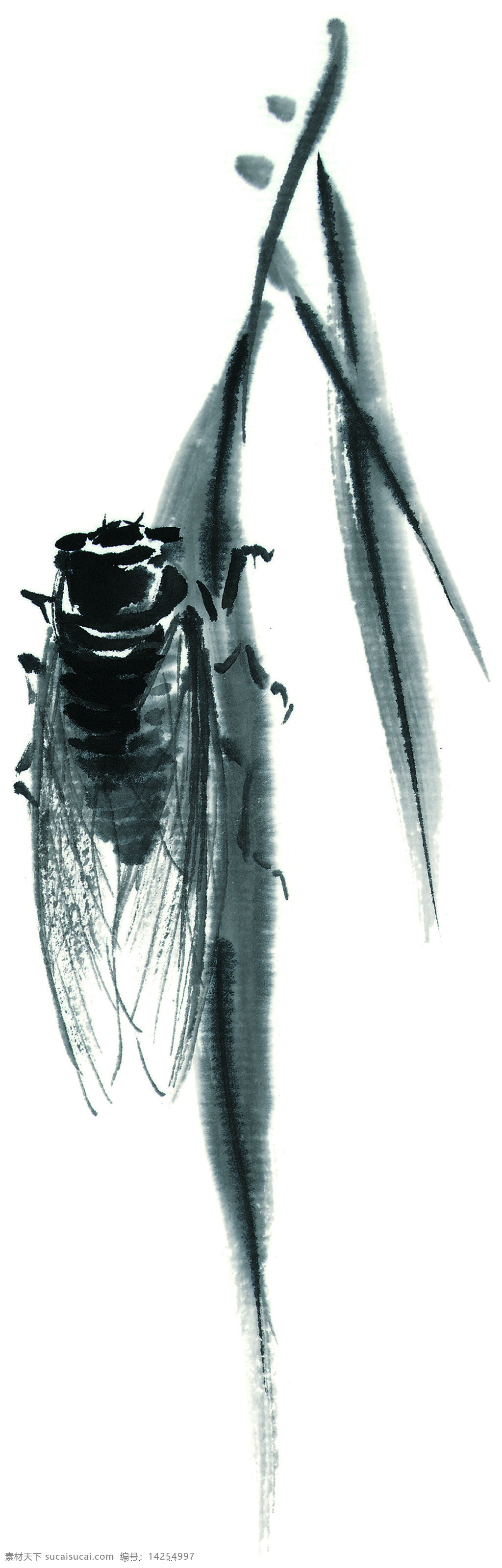 水墨风格的蝉 水墨 蝉 文化艺术 美术绘画 风格 昆虫 设计图库