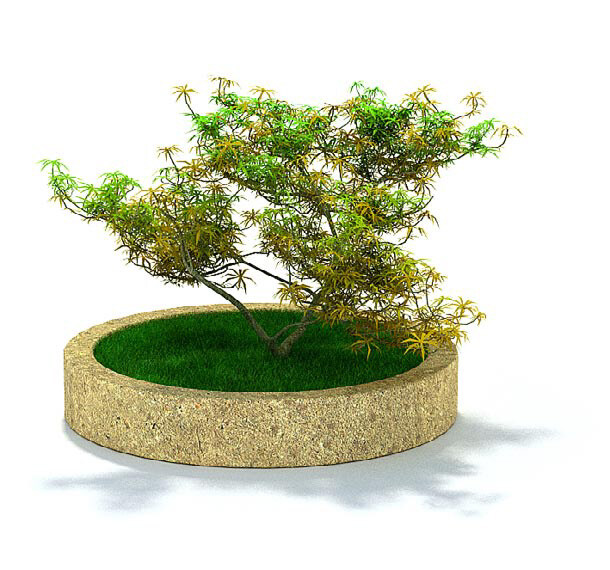 花园 种植 枫树 3d 模型 绿草 3d模型 3d渲染 模型素材