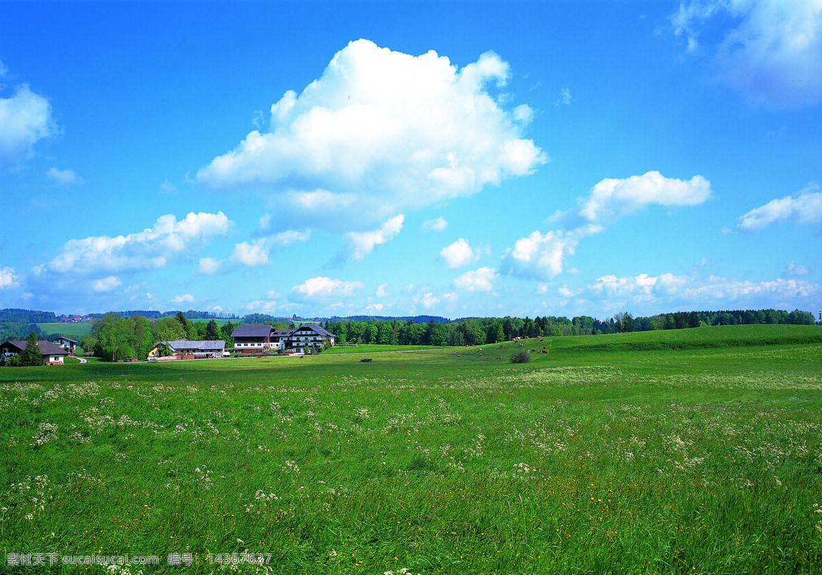 蓝天草地 蓝天 草地 白云 天空 自然景观 自然风景