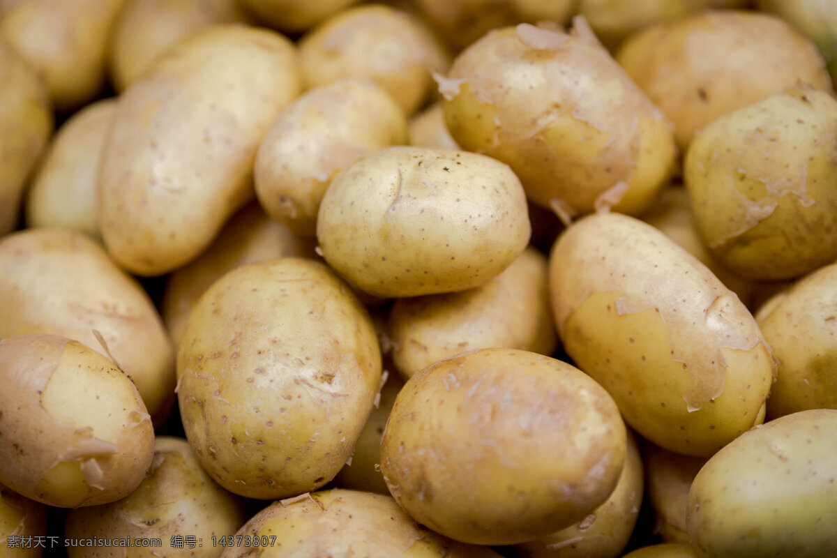 土豆 食物 淀粉 马铃薯 新鲜 农作物 生物世界 蔬菜
