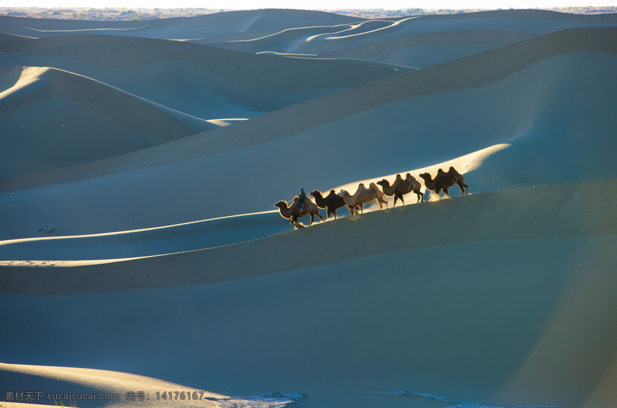 沙漠 中 骆驼 团队 高清 丝绸之路 人物 撒哈拉 沙漠风景 沙丘 骆驼剪影 荒漠 美丽风景 风景摄影 美丽景色 沙漠风光 沙漠图片 风景图片 蓝色