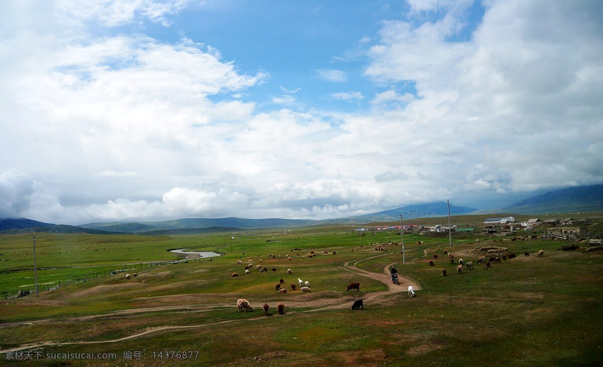 新疆 草原 弯道 马匹 旅行 新疆专辑 旅游摄影 国外旅游