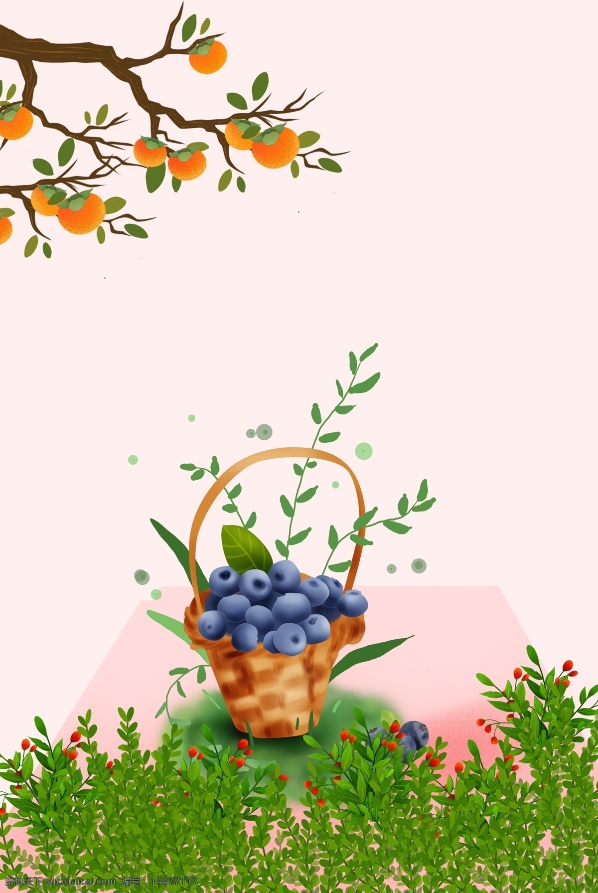 水果花卉背景 简约 清新 纹理 淡雅 水果 蓝莓 卡通 花卉 柿子