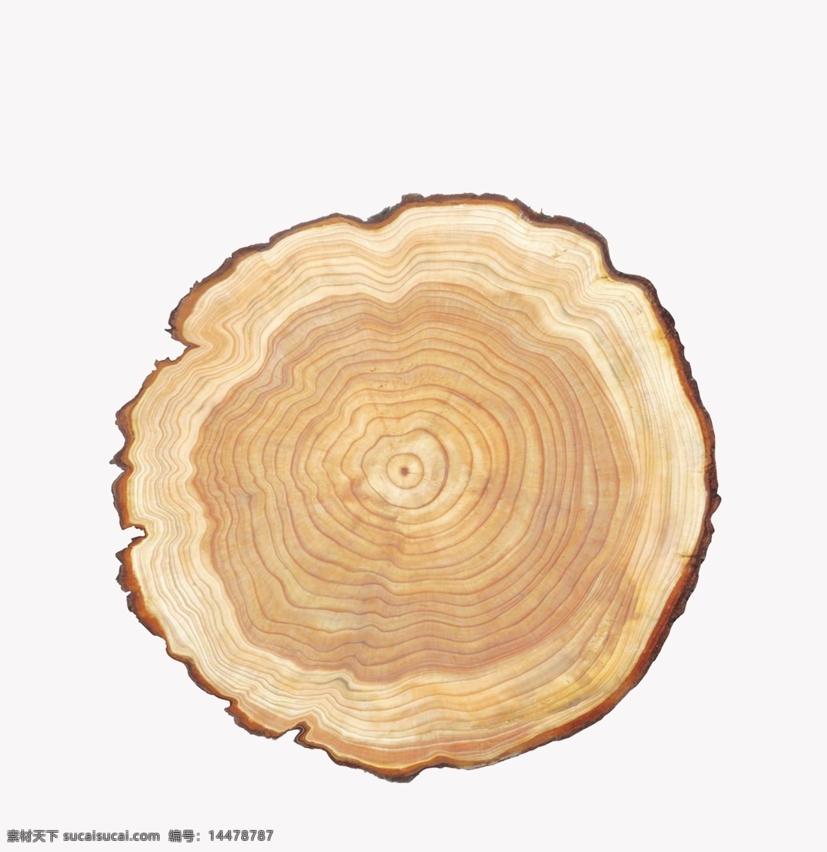 木块 木头纹理 树年轮 木纹 标识 生物世界 树木树叶